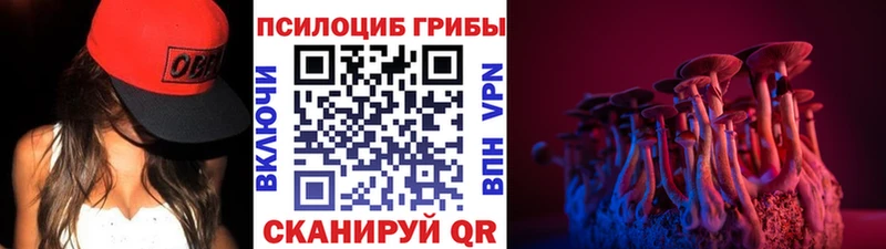 Галлюциногенные грибы Magic Shrooms  Купить  Ряжск 